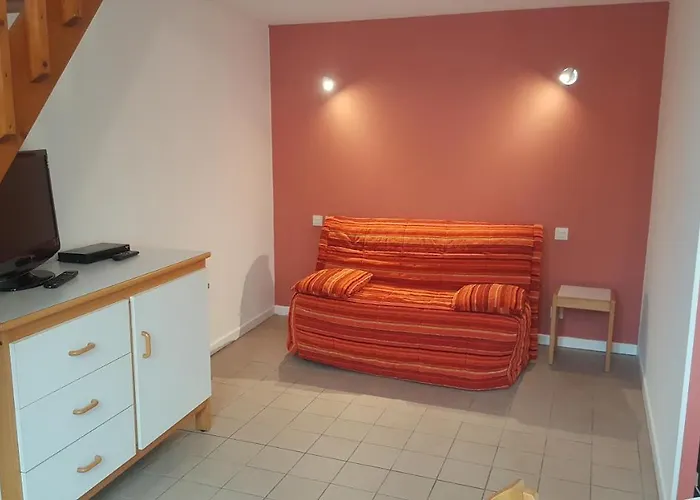 Résidence Guerlin Saint Aubin Toulouse